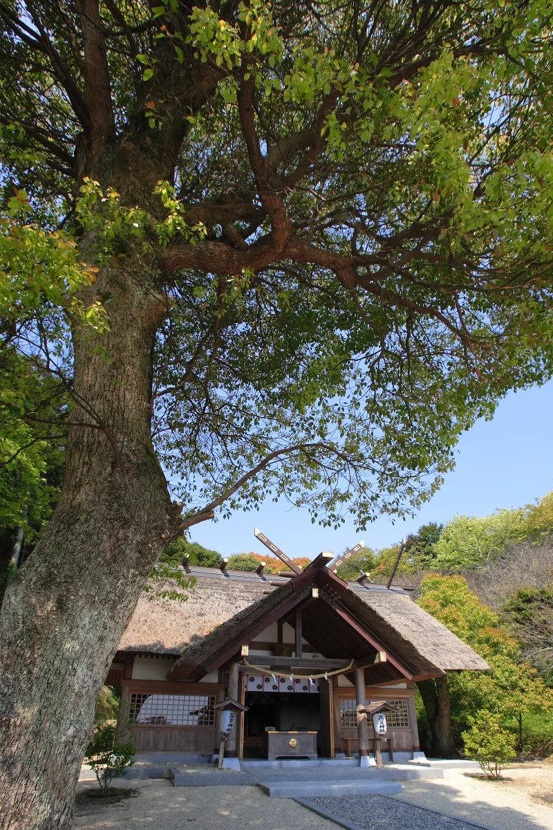 ⛩️ 다카베 신사 (高家神社) 이미지 6